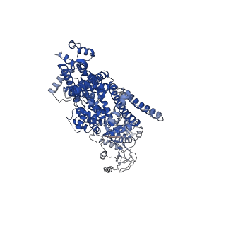 27896_8e4q_C_v1-0
The closed C0-state flycatcher TRPM8 structure in complex with PI(4,5)P2