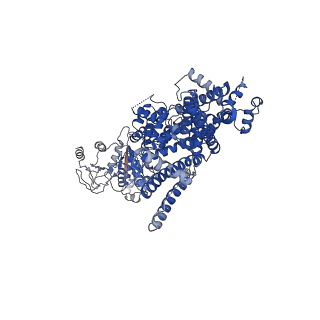 27896_8e4q_D_v1-0
The closed C0-state flycatcher TRPM8 structure in complex with PI(4,5)P2