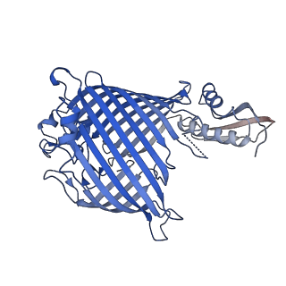 30985_7e4h_A_v1-1
Cryo-EM structure of the yeast mitochondrial SAM-Tom40 complex at 3.0 angstrom