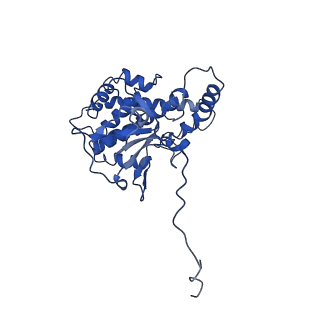 30985_7e4h_B_v1-1
Cryo-EM structure of the yeast mitochondrial SAM-Tom40 complex at 3.0 angstrom