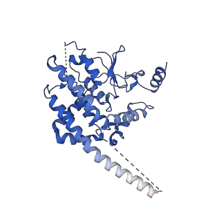30985_7e4h_C_v1-1
Cryo-EM structure of the yeast mitochondrial SAM-Tom40 complex at 3.0 angstrom