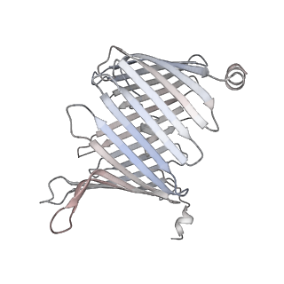 30985_7e4h_D_v1-1
Cryo-EM structure of the yeast mitochondrial SAM-Tom40 complex at 3.0 angstrom