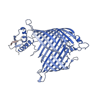 30986_7e4i_A_v1-1
Cryo-EM structure of the yeast mitochondrial SAM-Tom40/Tom5/Tom6 complex at 3.0 angstrom
