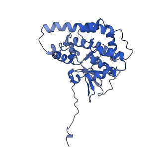 30986_7e4i_B_v1-1
Cryo-EM structure of the yeast mitochondrial SAM-Tom40/Tom5/Tom6 complex at 3.0 angstrom