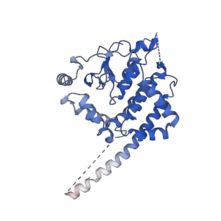 30986_7e4i_C_v1-1
Cryo-EM structure of the yeast mitochondrial SAM-Tom40/Tom5/Tom6 complex at 3.0 angstrom