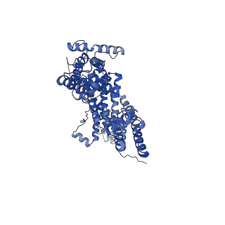 30987_7e4t_A_v1-1
Human TRPC5 apo state structure at 3 angstrom