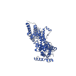 30987_7e4t_C_v1-1
Human TRPC5 apo state structure at 3 angstrom