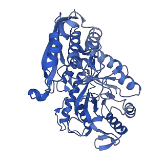 30988_7e4x_A_v1-1
Structure of Enolase from Mycobacterium tuberculosis