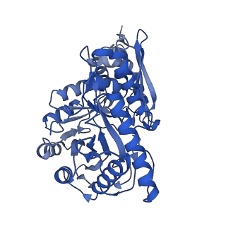 30988_7e4x_B_v1-1
Structure of Enolase from Mycobacterium tuberculosis