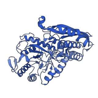 30988_7e4x_C_v1-1
Structure of Enolase from Mycobacterium tuberculosis