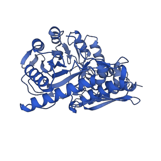 30988_7e4x_D_v1-1
Structure of Enolase from Mycobacterium tuberculosis