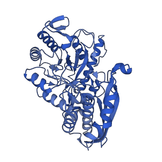 30988_7e4x_E_v1-1
Structure of Enolase from Mycobacterium tuberculosis