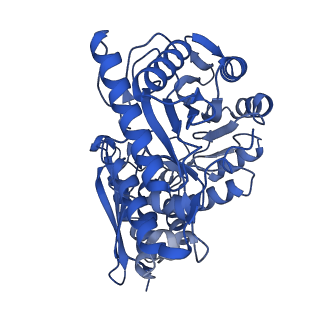 30988_7e4x_F_v1-1
Structure of Enolase from Mycobacterium tuberculosis