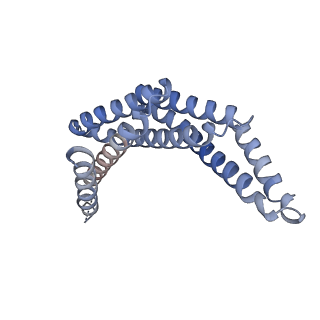 27903_8e55_C_v1-0
Design of Diverse Asymmetric Pockets in de novo Homo-oligomeric Proteins
