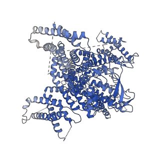 27904_8e56_A_v1-1
Rabbit L-type voltage-gated calcium channel Cav1.1 in the presence of Amiodarone at 2.8 Angstrom resolution