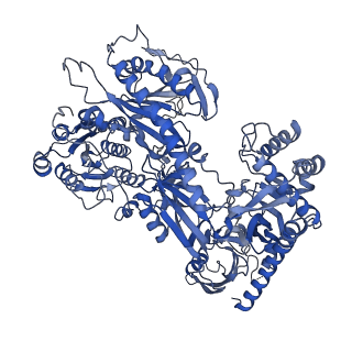 27904_8e56_F_v1-1
Rabbit L-type voltage-gated calcium channel Cav1.1 in the presence of Amiodarone at 2.8 Angstrom resolution