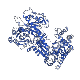 27906_8e58_F_v1-1
Rabbit L-type voltage-gated calcium channel Cav1.1 in the presence of Amiodarone and 1 mM MNI-1 at 3.0 Angstrom resolution