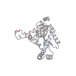 27907_8e59_C_v1-1
Human L-type voltage-gated calcium channel Cav1.3 in the presence of Amiodarone at 3.1 Angstrom resolution