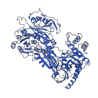27907_8e59_D_v1-1
Human L-type voltage-gated calcium channel Cav1.3 in the presence of Amiodarone at 3.1 Angstrom resolution