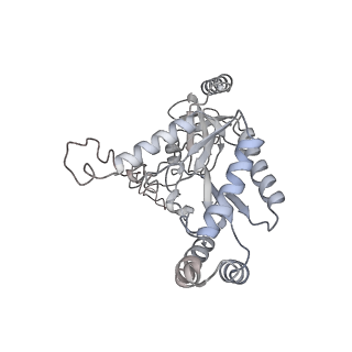 27908_8e5a_C_v1-1
Human L-type voltage-gated calcium channel Cav1.3 treated with 1.4 mM Sofosbuvir at 3.3 Angstrom resolution
