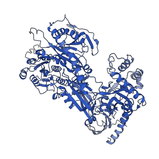 27908_8e5a_D_v1-1
Human L-type voltage-gated calcium channel Cav1.3 treated with 1.4 mM Sofosbuvir at 3.3 Angstrom resolution