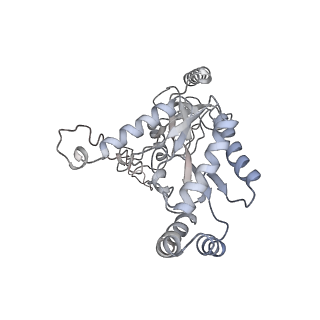 27909_8e5b_C_v1-1
Human L-type voltage-gated calcium channel Cav1.3 in the presence of Amiodarone and Sofosbuvir at 3.3 Angstrom resolution