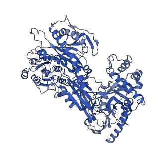 27909_8e5b_D_v1-1
Human L-type voltage-gated calcium channel Cav1.3 in the presence of Amiodarone and Sofosbuvir at 3.3 Angstrom resolution