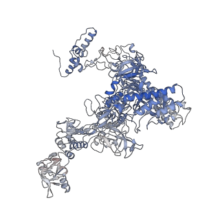 27913_8e5k_A_v1-3
Escherichia coli Rho-dependent transcription pre-termination complex containing 21 nt long RNA spacer, Mg-ADP-BeF3, and NusG; TEC part