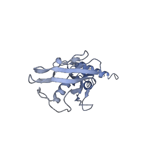 27913_8e5k_D_v1-3
Escherichia coli Rho-dependent transcription pre-termination complex containing 21 nt long RNA spacer, Mg-ADP-BeF3, and NusG; TEC part