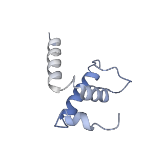 27913_8e5k_E_v1-3
Escherichia coli Rho-dependent transcription pre-termination complex containing 21 nt long RNA spacer, Mg-ADP-BeF3, and NusG; TEC part