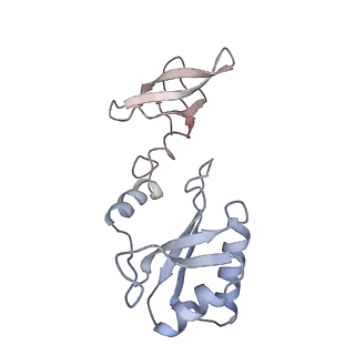27913_8e5k_F_v1-3
Escherichia coli Rho-dependent transcription pre-termination complex containing 21 nt long RNA spacer, Mg-ADP-BeF3, and NusG; TEC part