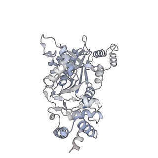 27914_8e5l_a_v1-3
Escherichia coli Rho-dependent transcription pre-termination complex containing 21 nt long RNA spacer, Mg-ADP-BeF3, and NusG; Rho hexamer part