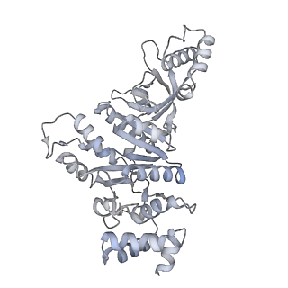 27914_8e5l_b_v1-3
Escherichia coli Rho-dependent transcription pre-termination complex containing 21 nt long RNA spacer, Mg-ADP-BeF3, and NusG; Rho hexamer part