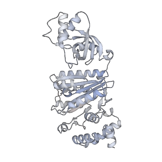 27914_8e5l_c_v1-3
Escherichia coli Rho-dependent transcription pre-termination complex containing 21 nt long RNA spacer, Mg-ADP-BeF3, and NusG; Rho hexamer part