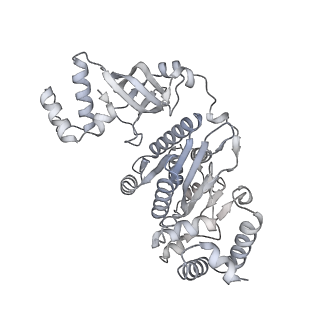 27914_8e5l_d_v1-3
Escherichia coli Rho-dependent transcription pre-termination complex containing 21 nt long RNA spacer, Mg-ADP-BeF3, and NusG; Rho hexamer part