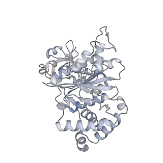 27914_8e5l_f_v1-3
Escherichia coli Rho-dependent transcription pre-termination complex containing 21 nt long RNA spacer, Mg-ADP-BeF3, and NusG; Rho hexamer part