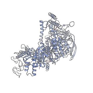 27916_8e5o_B_v1-3
Escherichia coli Rho-dependent transcription pre-termination complex containing 24 nt long RNA spacer, Mg-ADP-BeF3, and NusG; TEC part