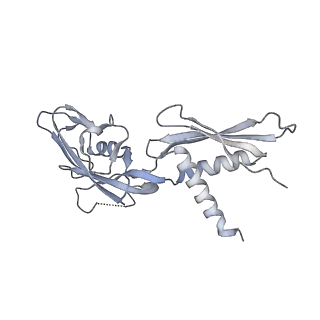 27916_8e5o_C_v1-3
Escherichia coli Rho-dependent transcription pre-termination complex containing 24 nt long RNA spacer, Mg-ADP-BeF3, and NusG; TEC part