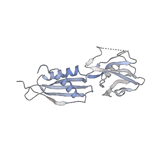 27916_8e5o_D_v1-3
Escherichia coli Rho-dependent transcription pre-termination complex containing 24 nt long RNA spacer, Mg-ADP-BeF3, and NusG; TEC part