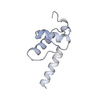 27916_8e5o_E_v1-3
Escherichia coli Rho-dependent transcription pre-termination complex containing 24 nt long RNA spacer, Mg-ADP-BeF3, and NusG; TEC part