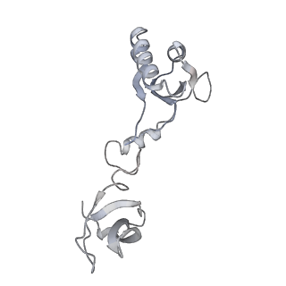 27916_8e5o_F_v1-3
Escherichia coli Rho-dependent transcription pre-termination complex containing 24 nt long RNA spacer, Mg-ADP-BeF3, and NusG; TEC part