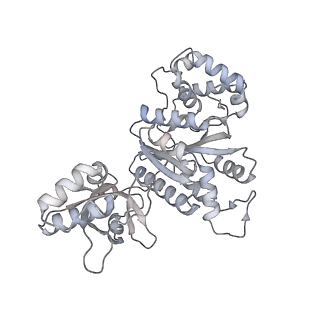 27917_8e5p_a_v1-3
Escherichia coli Rho-dependent transcription pre-termination complex containing 24 nt long RNA spacer, Mg-ADP-BeF3, and NusG; Rho hexamer part