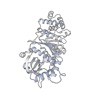27917_8e5p_b_v1-3
Escherichia coli Rho-dependent transcription pre-termination complex containing 24 nt long RNA spacer, Mg-ADP-BeF3, and NusG; Rho hexamer part
