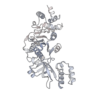 27917_8e5p_c_v1-3
Escherichia coli Rho-dependent transcription pre-termination complex containing 24 nt long RNA spacer, Mg-ADP-BeF3, and NusG; Rho hexamer part