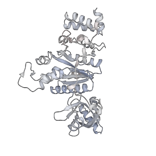 27917_8e5p_d_v1-3
Escherichia coli Rho-dependent transcription pre-termination complex containing 24 nt long RNA spacer, Mg-ADP-BeF3, and NusG; Rho hexamer part