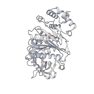 27917_8e5p_e_v1-3
Escherichia coli Rho-dependent transcription pre-termination complex containing 24 nt long RNA spacer, Mg-ADP-BeF3, and NusG; Rho hexamer part