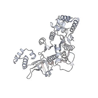 27917_8e5p_f_v1-3
Escherichia coli Rho-dependent transcription pre-termination complex containing 24 nt long RNA spacer, Mg-ADP-BeF3, and NusG; Rho hexamer part