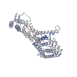 27919_8e5t_6_v1-2
Yeast co-transcriptional Noc1-Noc2 RNP assembly checkpoint intermediate