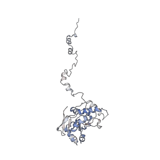 27919_8e5t_C_v1-2
Yeast co-transcriptional Noc1-Noc2 RNP assembly checkpoint intermediate