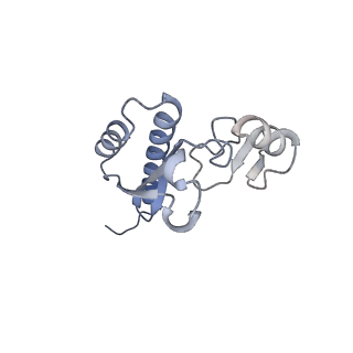 27919_8e5t_D_v1-2
Yeast co-transcriptional Noc1-Noc2 RNP assembly checkpoint intermediate